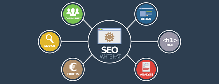 Complete SEO Service to Generate Qualified Leads