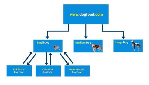 Website Structure