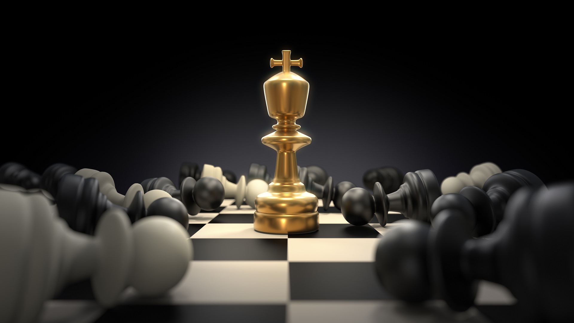 SEO Business Analyst